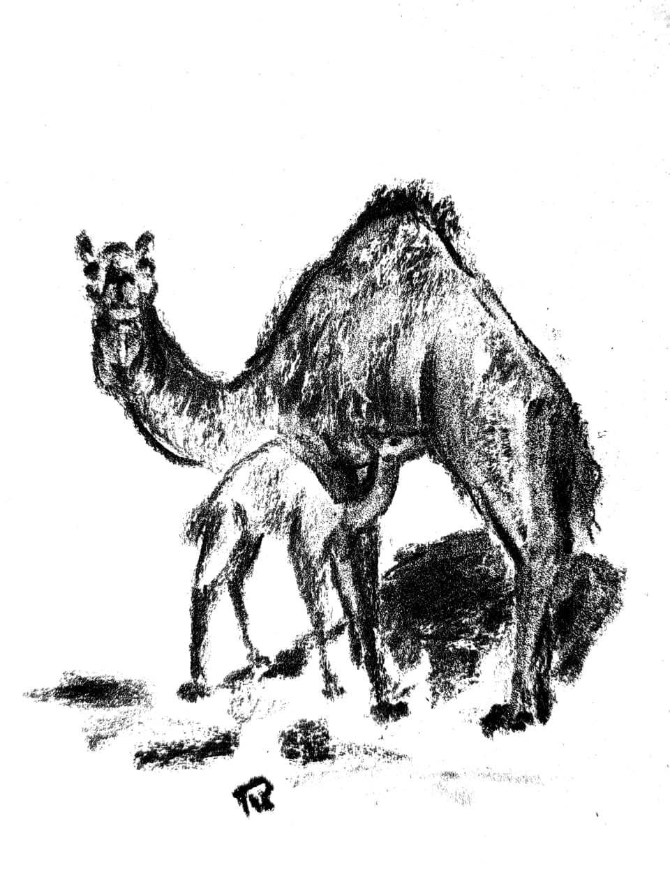 طبعة فنية 46